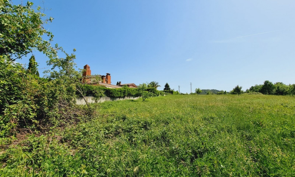 Via Colle Impergola, 86170, ,Terreno Edificabile,In Vendita,Via Colle Impergola,1318