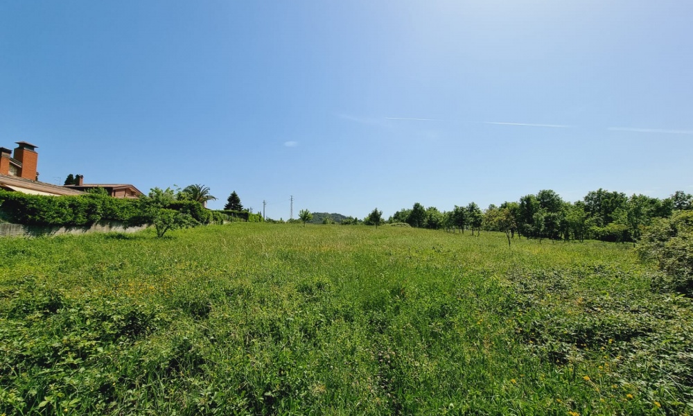 Via Colle Impergola, 86170, ,Terreno Edificabile,In Vendita,Via Colle Impergola,1318