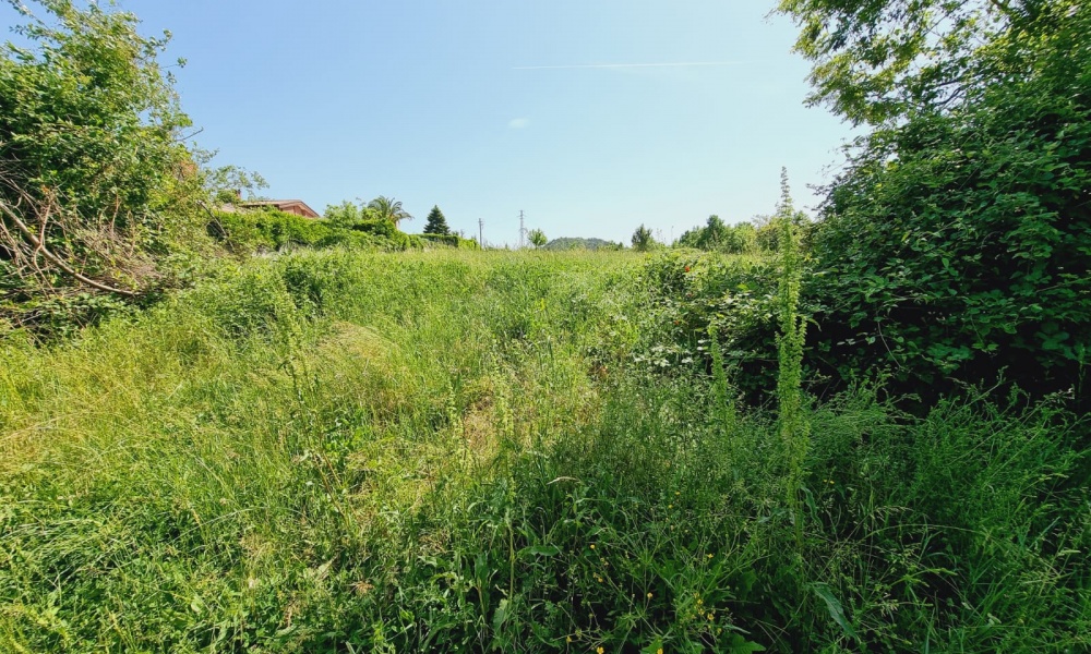 Via Colle Impergola, 86170, ,Terreno Edificabile,In Vendita,Via Colle Impergola,1318