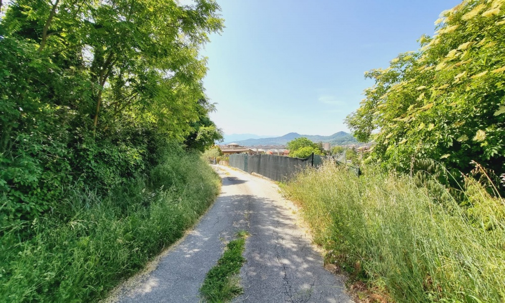 Via Colle Impergola, 86170, ,Terreno Edificabile,In Vendita,Via Colle Impergola,1318