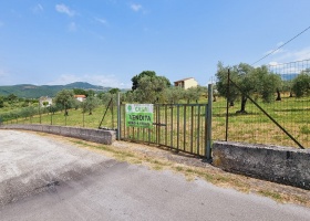 Contrada Castagna, 86170, ,Terreno Agricolo,In Vendita,Contrada Castagna,1374