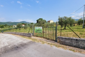 Terreno agricolo zona Castagna