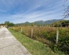 Via Maria Matticoli, 86170, ,Terreno Agricolo,In Vendita,Via Maria Matticoli,1377