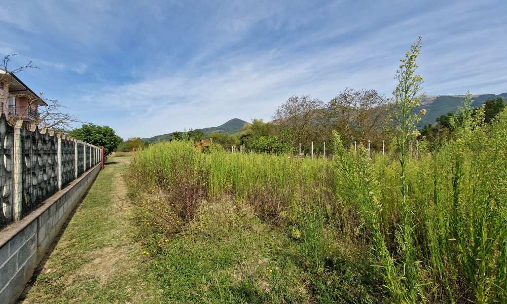 Via Maria Matticoli, 86170, ,Terreno Agricolo,In Vendita,Via Maria Matticoli,1377