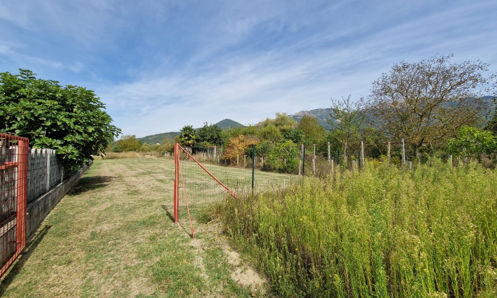 Via Maria Matticoli, 86170, ,Terreno Agricolo,In Vendita,Via Maria Matticoli,1377