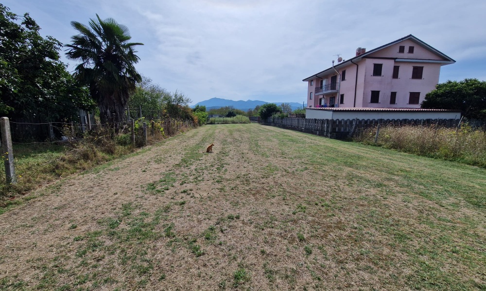 Via Maria Matticoli, 86170, ,Terreno Agricolo,In Vendita,Via Maria Matticoli,1377