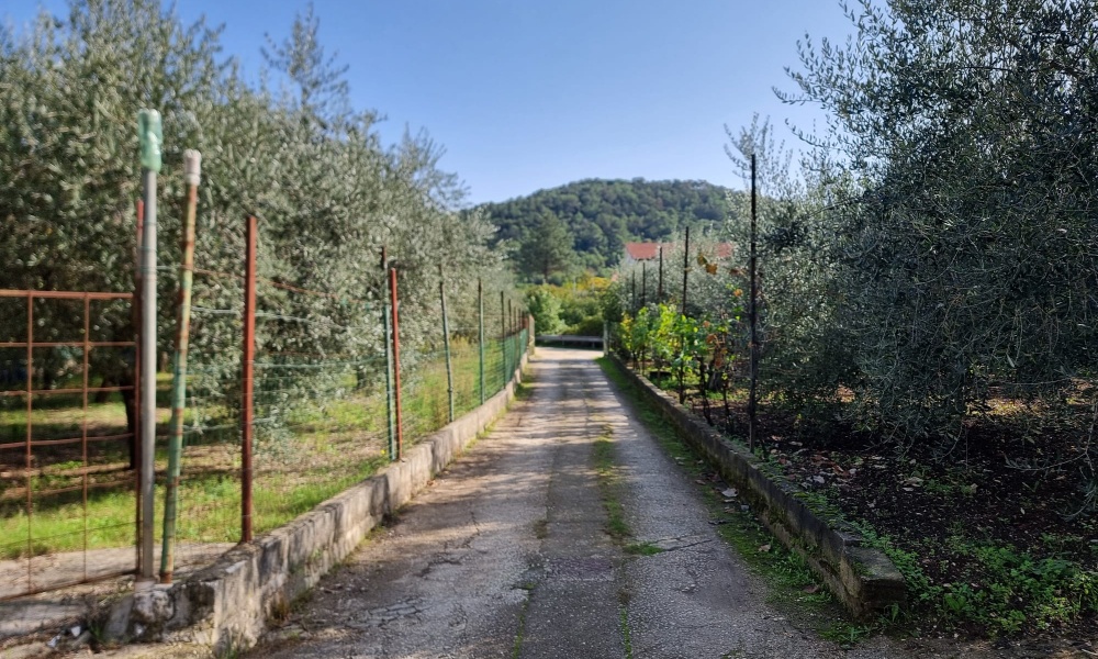 Via Santo Spirito, 86170, 2 Camere da letto Camere da letto, 3 Rooms Rooms,Appartamento,In Vendita,Via Santo Spirito,1423