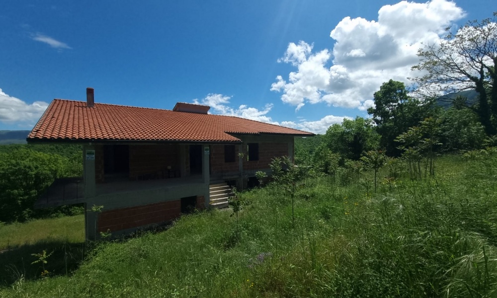 10 Rooms Rooms,Soluzione Indipendente,In Vendita,1445