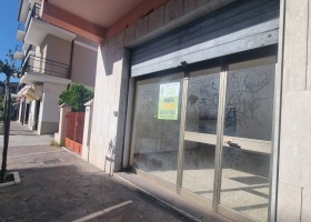 Locale Commerciale,In Vendita,1471