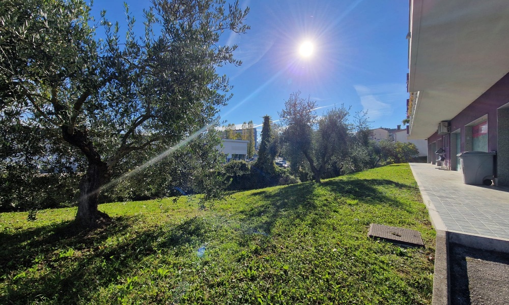 3 Rooms Rooms,Appartamento,In Vendita,1473