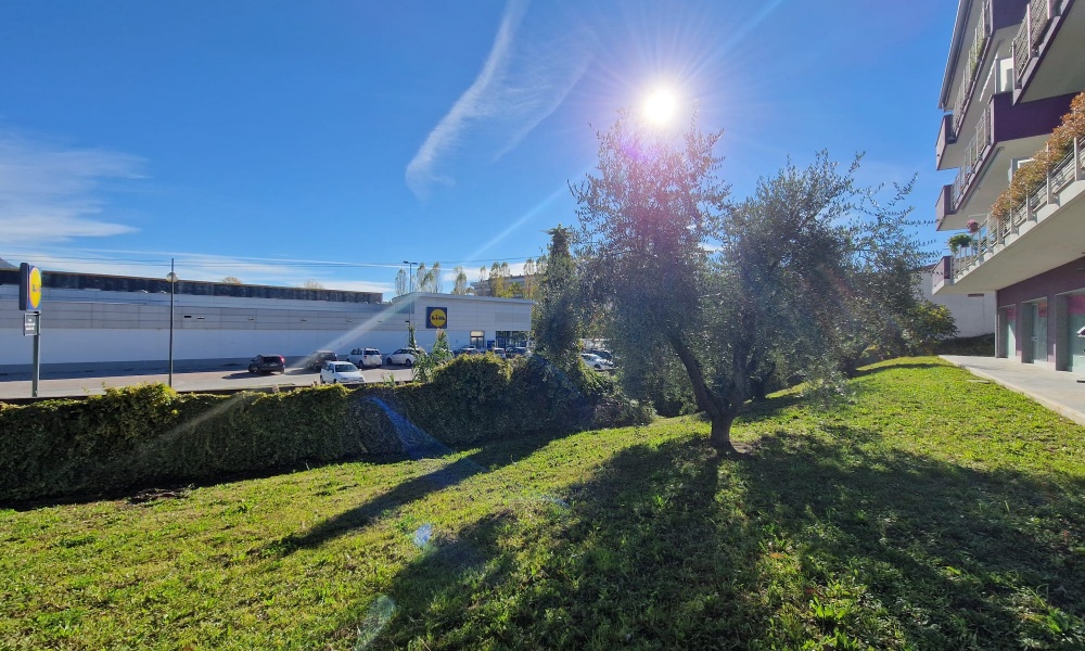 3 Rooms Rooms,Appartamento,In Vendita,1473