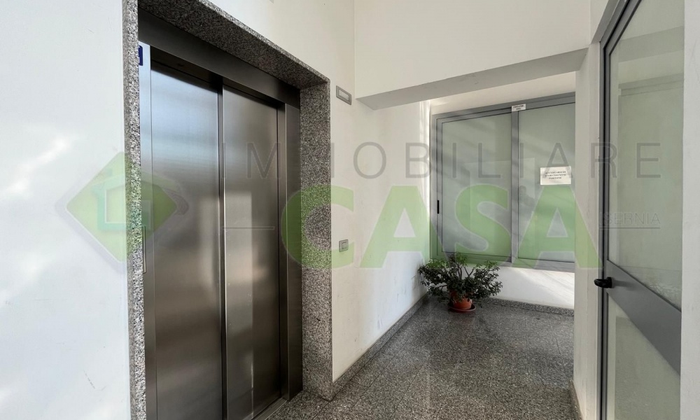 Viale tre marzo 1970, 86170, 3 Rooms Rooms,Appartamento,In Vendita,Viale tre marzo 1970,1473