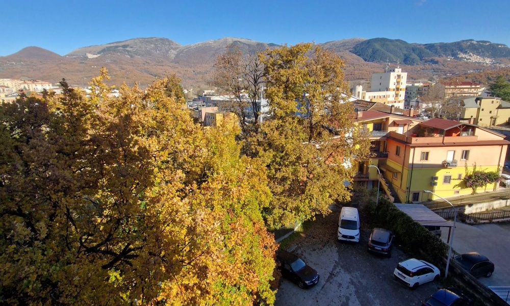 3 Camere da letto Camere da letto, 4 Rooms Rooms,Appartamento,In Vendita,1477