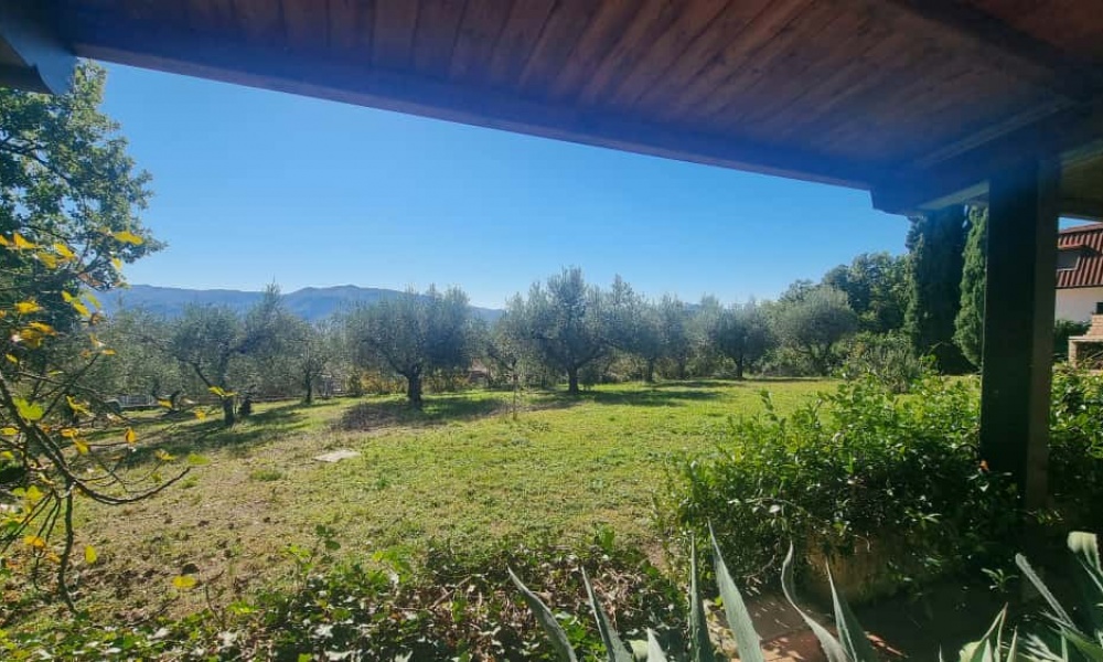 7 Camere da letto Camere da letto, 10 Rooms Rooms,Villa Unifamiliare,In Vendita,1478