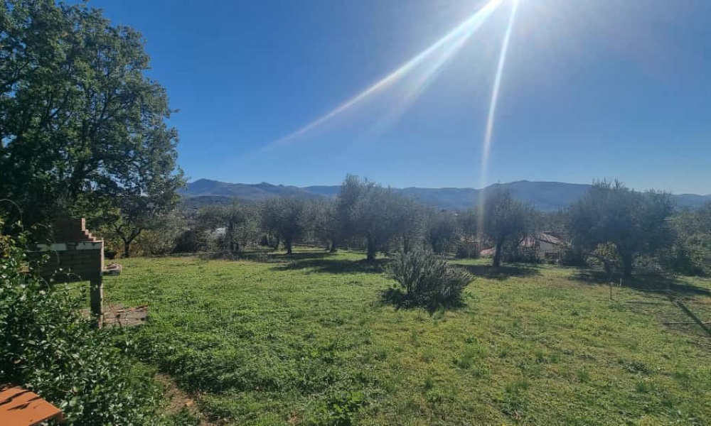 7 Camere da letto Camere da letto, 10 Rooms Rooms,Villa Unifamiliare,In Vendita,1478