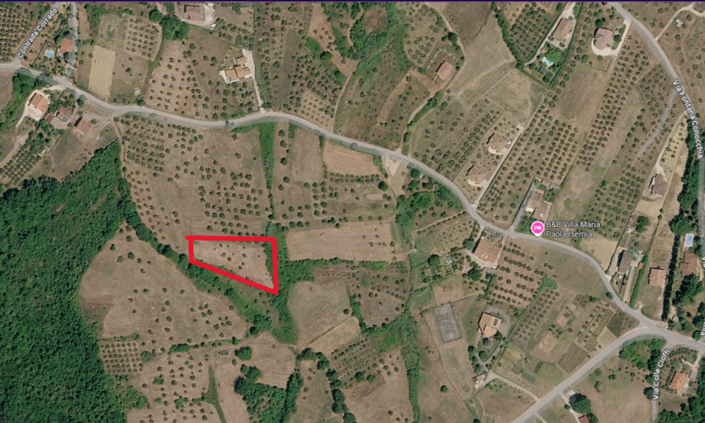 C.da Colle Cioffi, 86170, ,Terreno Agricolo,In Vendita,C.da Colle Cioffi,1494