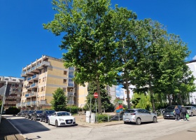 3 Camere da letto Camere da letto, 4 Rooms Rooms,Appartamento,In Vendita,1498