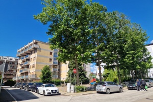 Ampio appartamento con terrazzo- Isernia