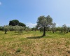Terreno Agricolo,In Vendita,1506