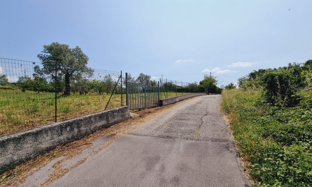 Terreno Agricolo,In Vendita,1506