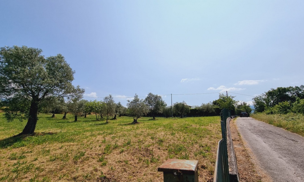 Terreno Agricolo,In Vendita,1506