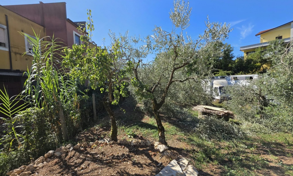 Via Palladio, 86170, 3 Rooms Rooms,Soluzione Indipendente,In Vendita,Via Palladio,1508
